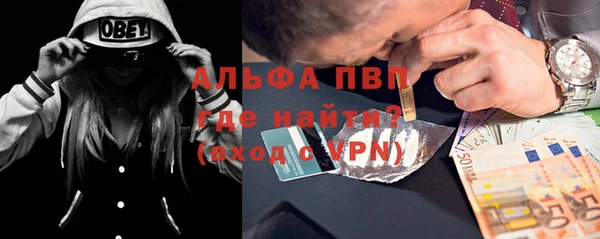 гашик Касимов