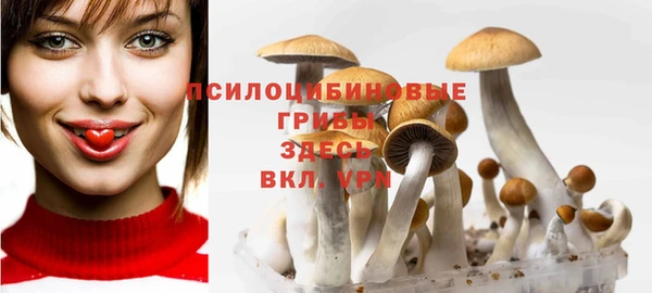 a pvp Карпинск