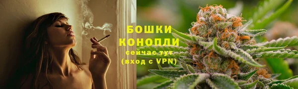 гашик Касимов