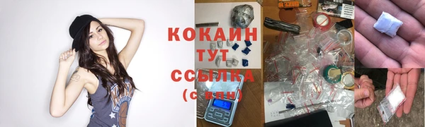 гашик Касимов