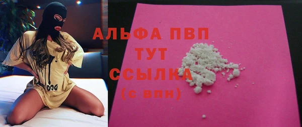гашик Касимов