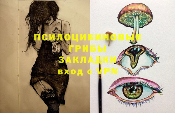 a pvp Карпинск