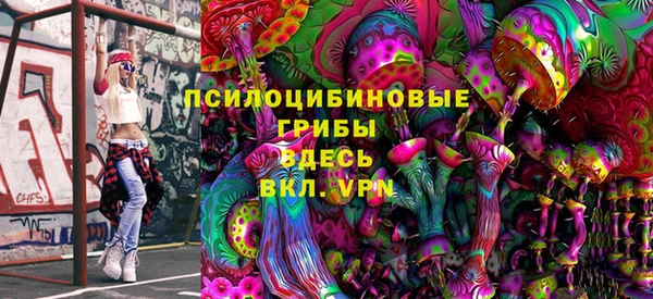 мдпв Карталы