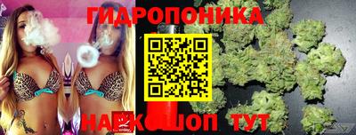 spice Апрелевка