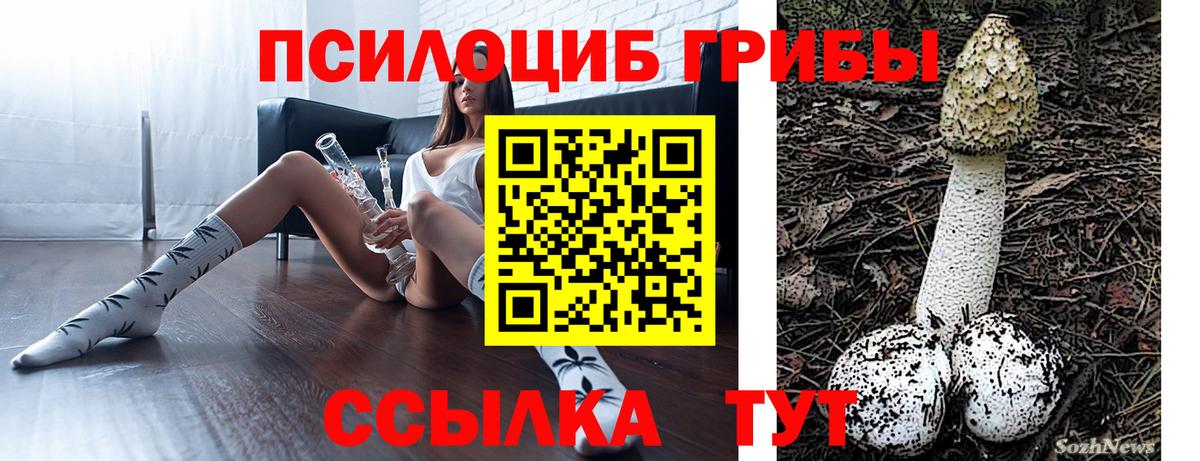 Галлюциногенные грибы ЛСД  Вход с VPN  Энгельс 