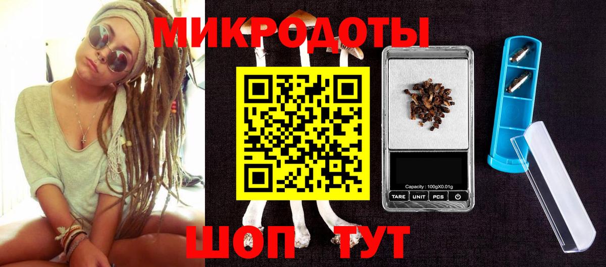 Галлюциногенные грибы Psilocybe Энгельс