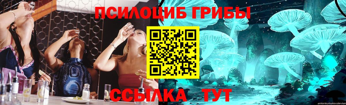 Галлюциногенные грибы Psilocybine cubensis Энгельс